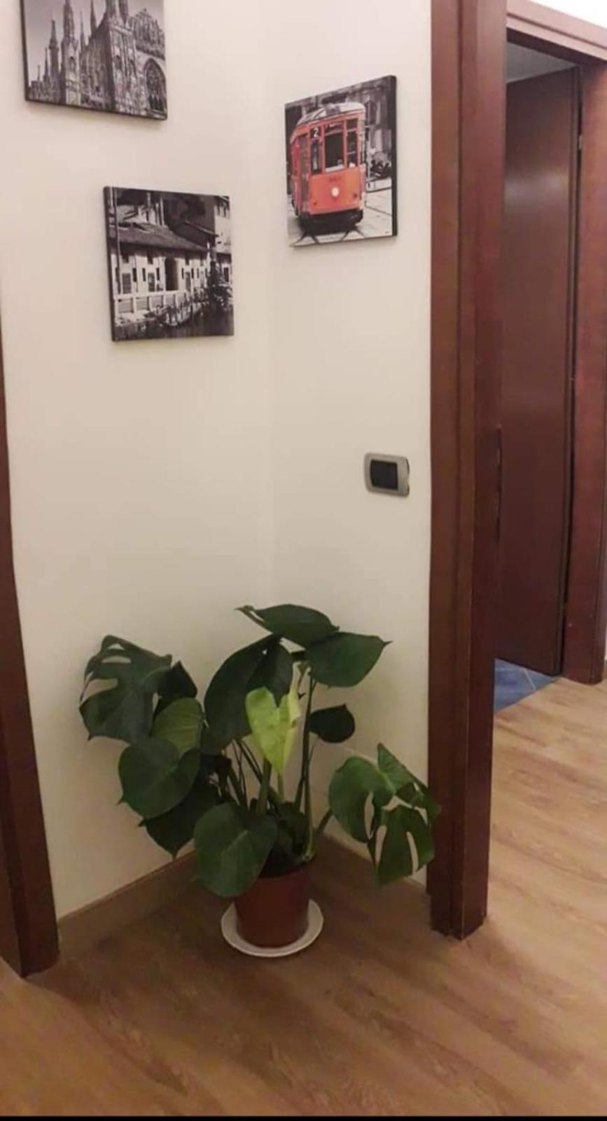 B&B Domobella -- Ripamonti / Ieo / Prada / Bocconi -- Милано Екстериор снимка